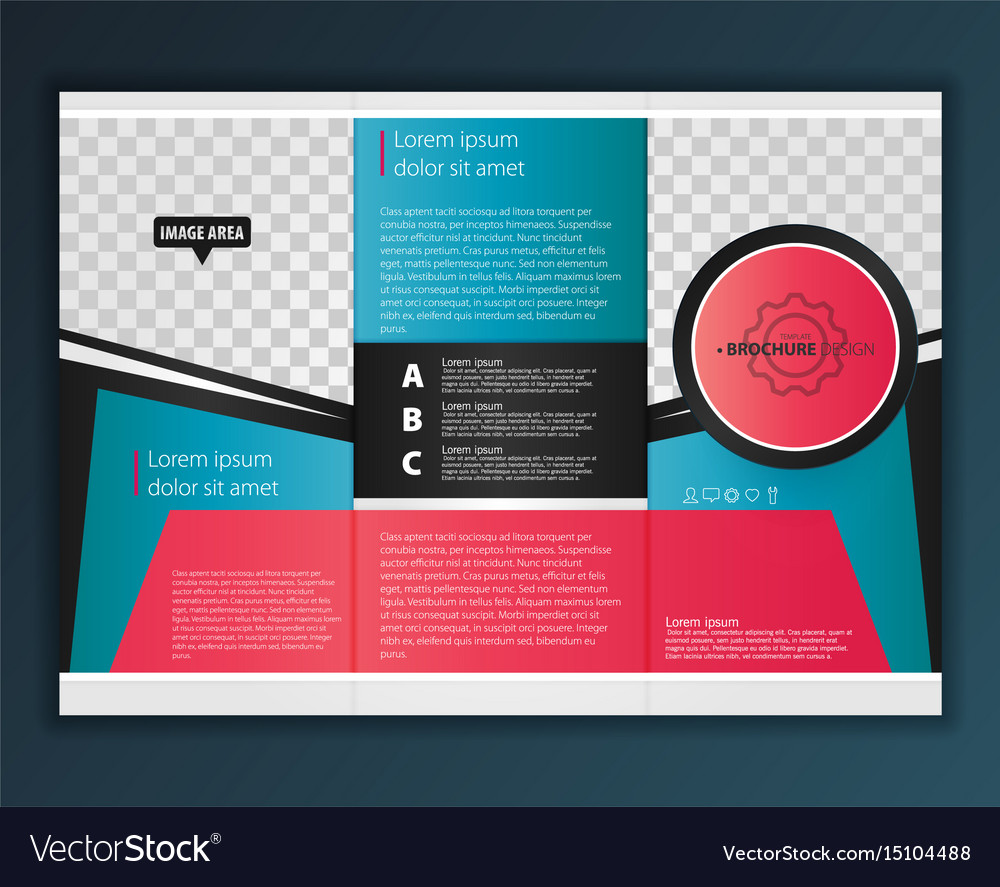 modern tri fold brochure design template vector image
