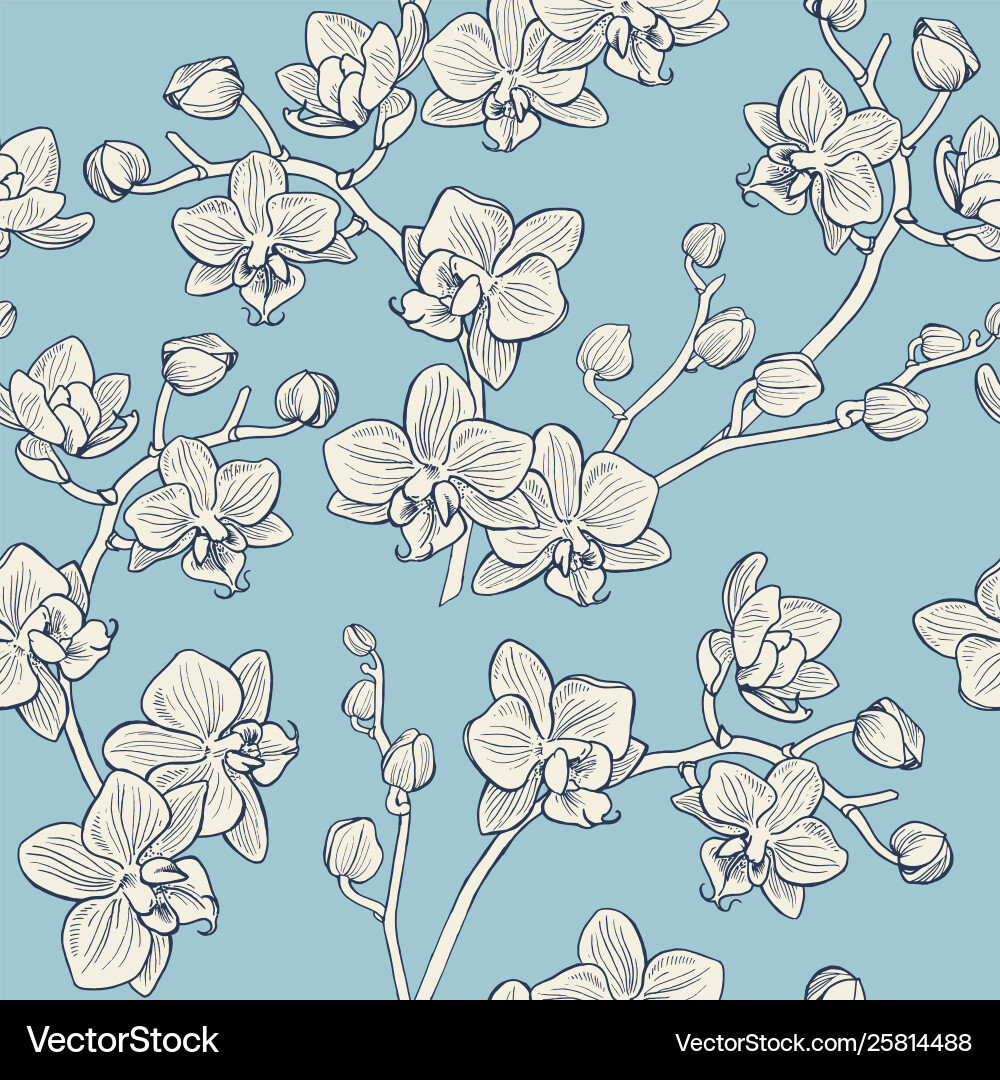 Seamless pattern with orchids Royalty Free Vector Image