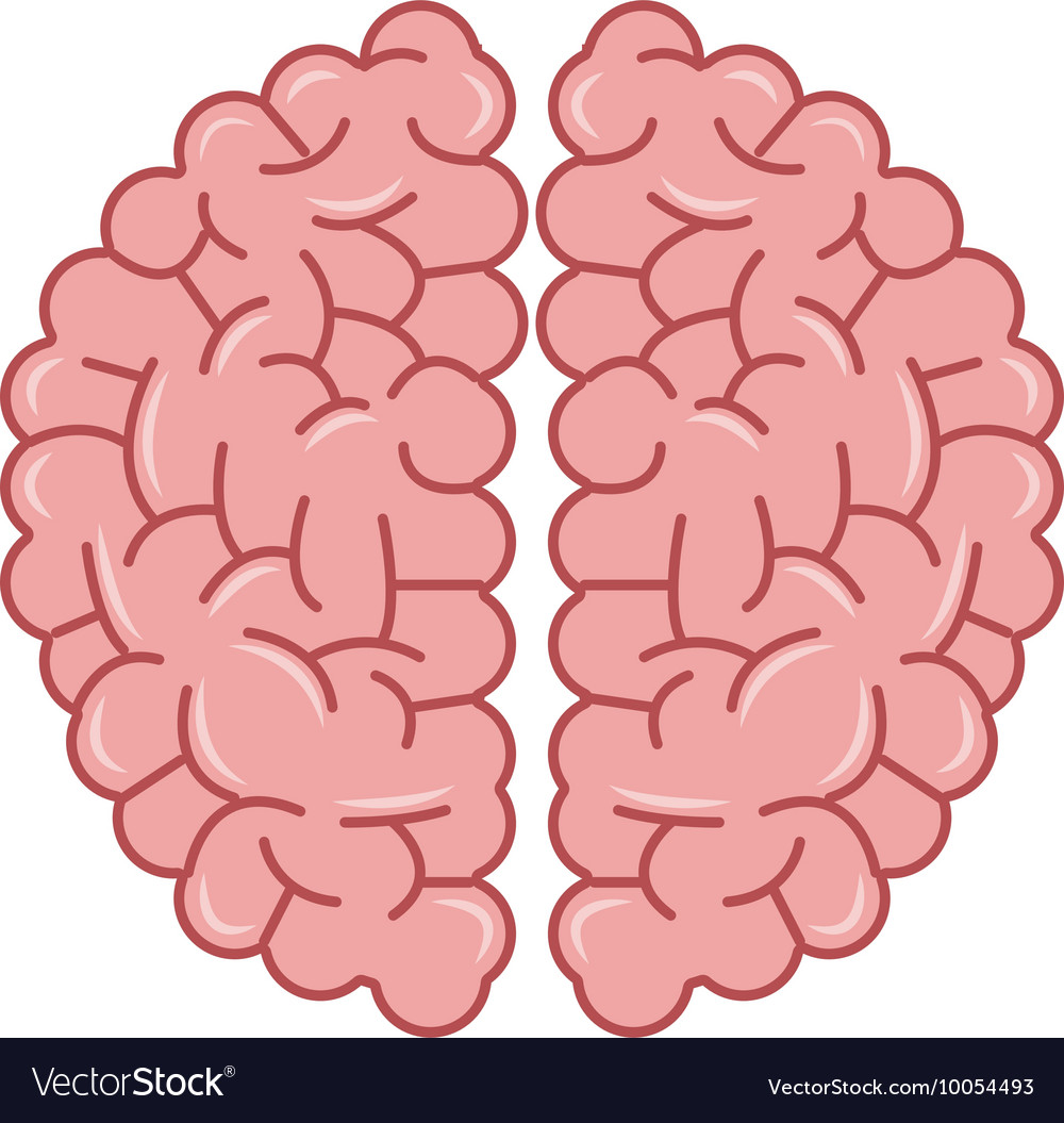 Human brain icon