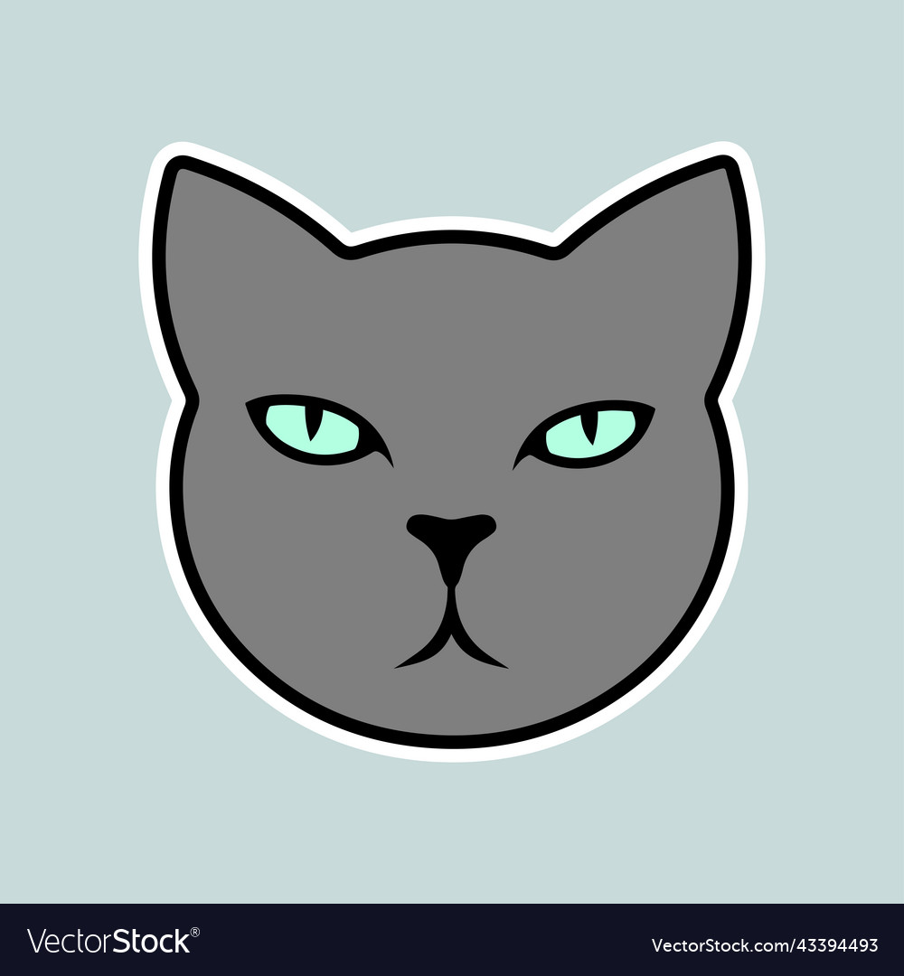 Serious gray cat with blue eyes as icon or sign