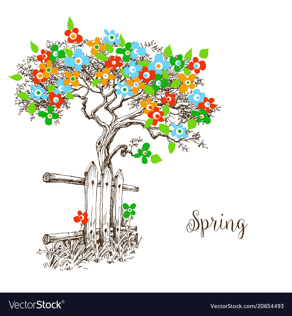 Spring tree in bloom vector image Spring tree in bloom