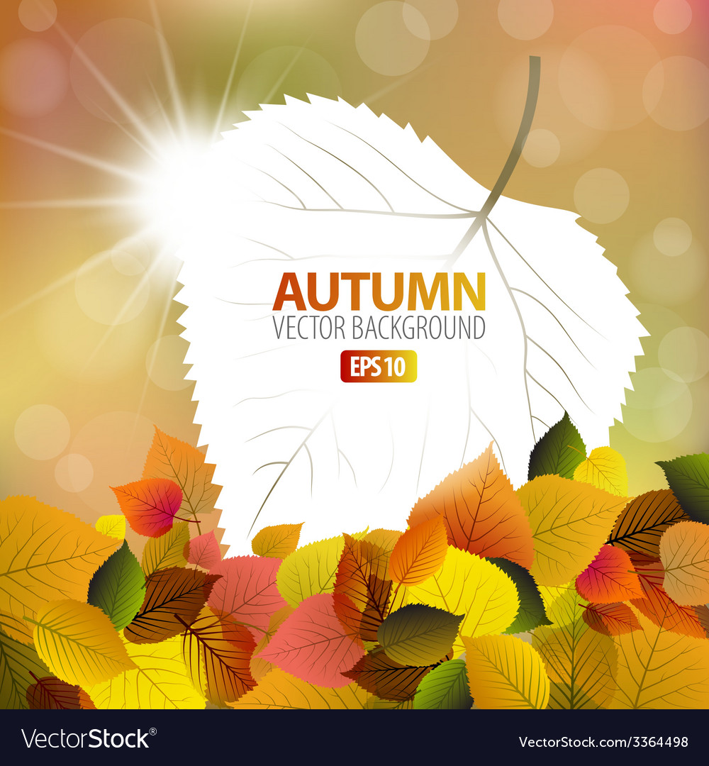 Autumn background with a card Royalty Free Vector Image