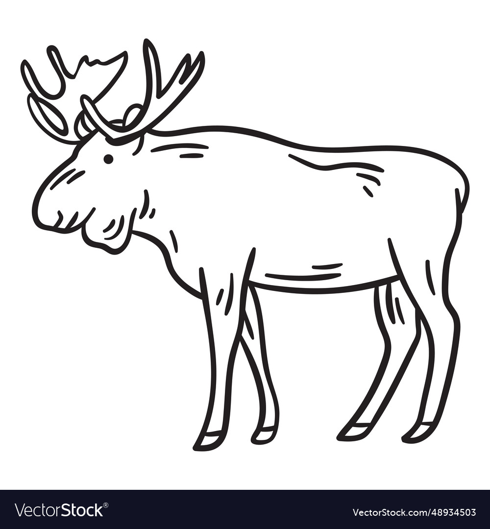 Moose elk animal stroke