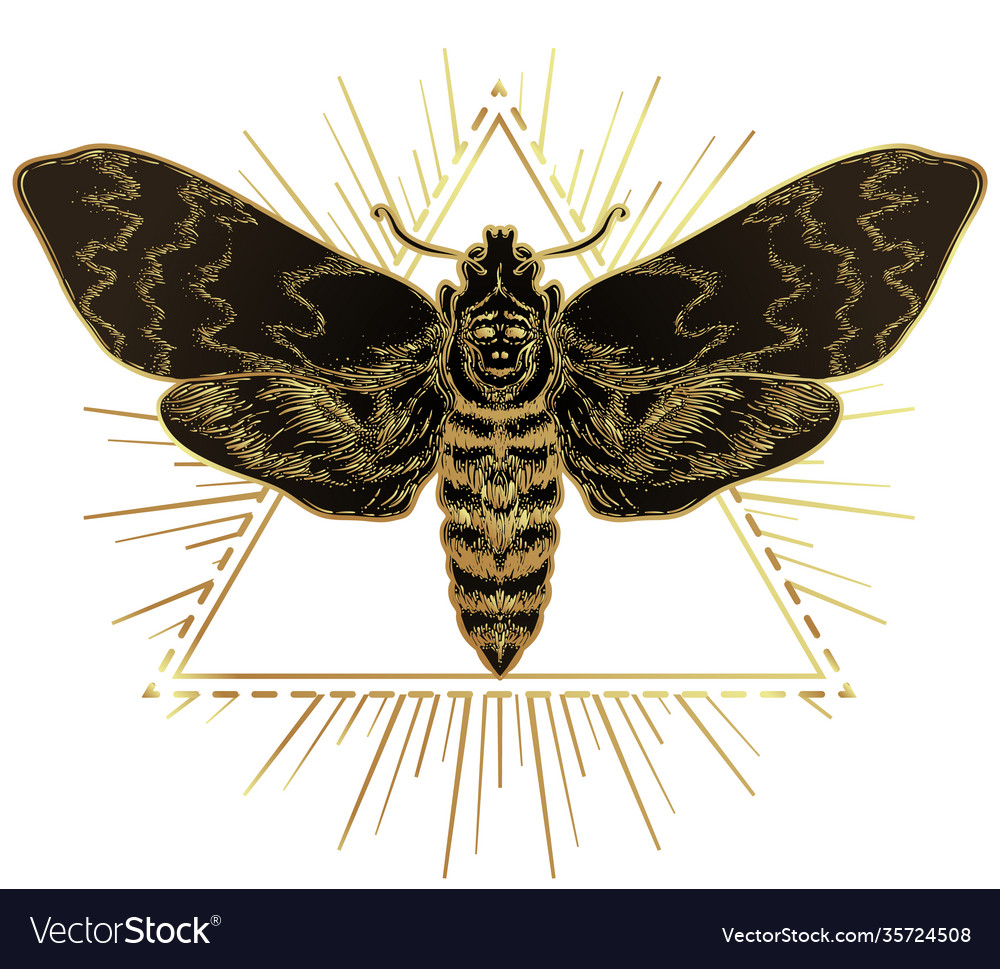 Goldene Motte über heilige Geometrie Schild isoliert