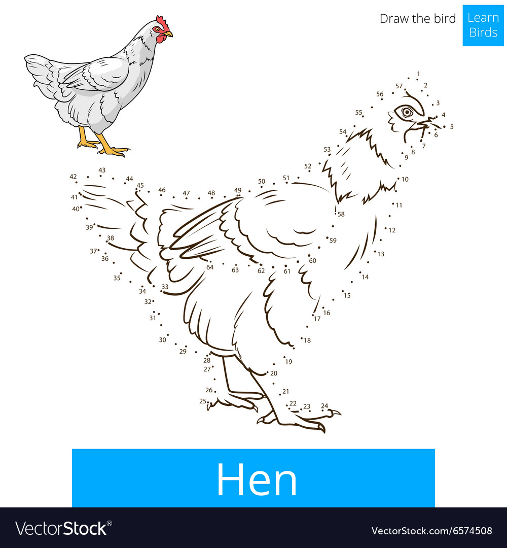 Hen bird learn to draw