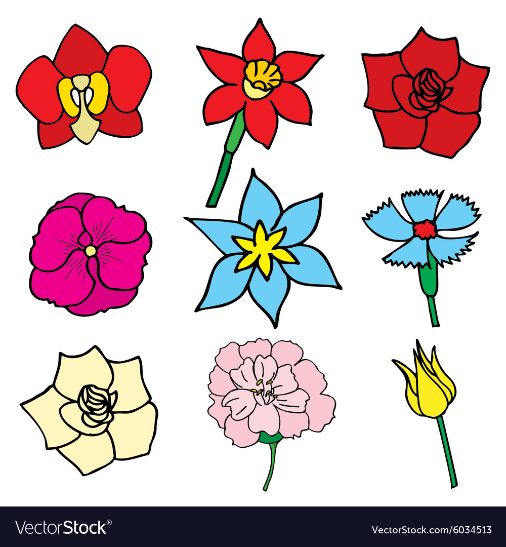 Beautiful flowers Royalty Free Vector Image - VectorStock