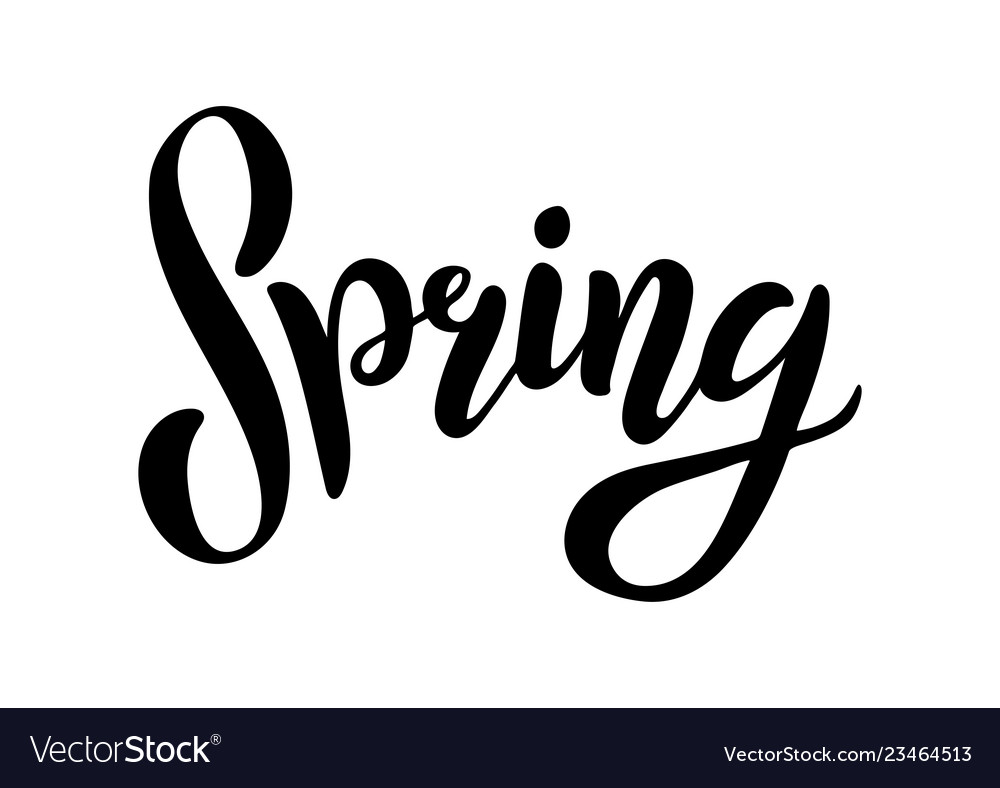 Hand sketched spring text Royalty Free Vector Image