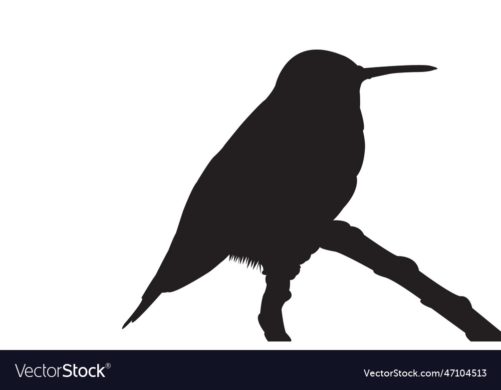 Hummingbird silhouette Royalty Free Vector Image