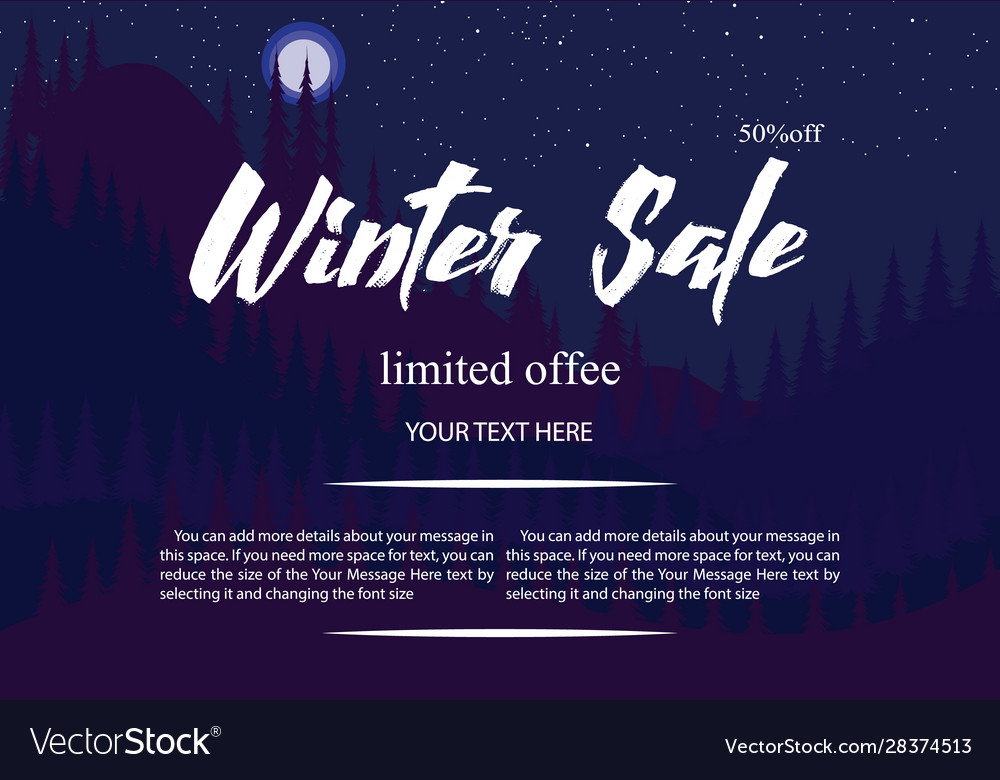Winter Sale Banner Flyer Christmas Sale Banner Vector Image