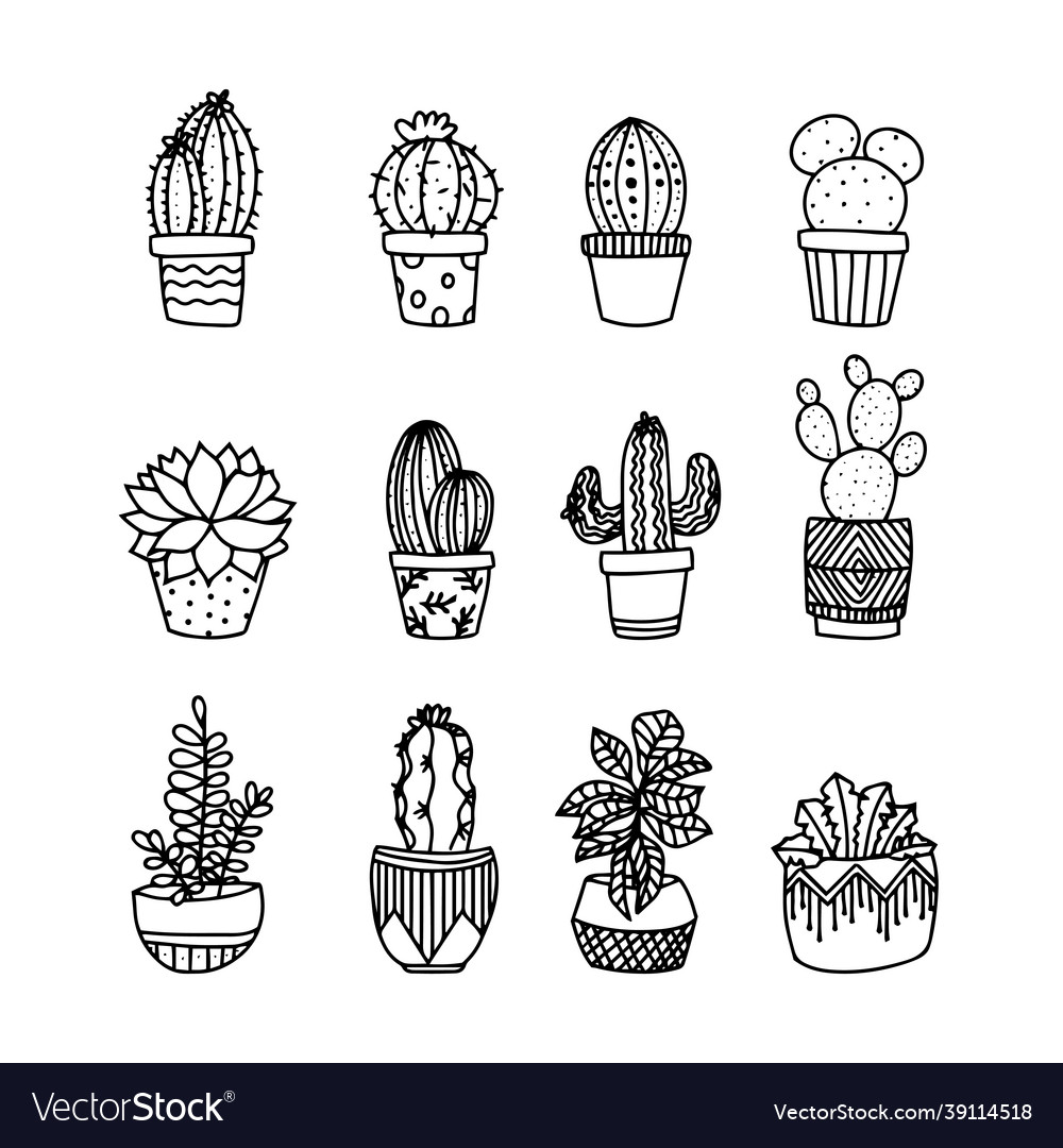 Cute hand drawing cactus in pots set