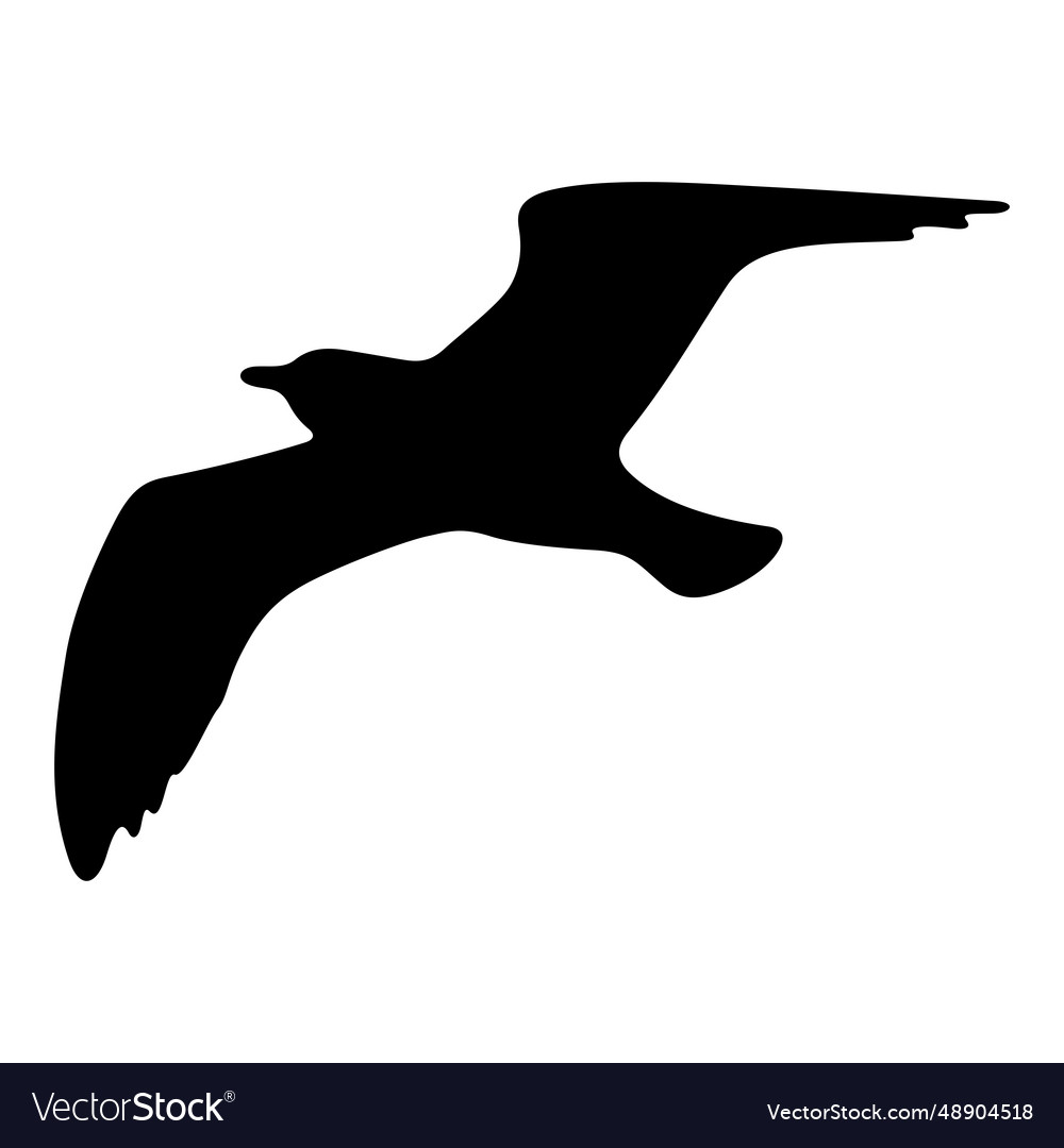 Flying bird realistic silhouette Royalty Free Vector Image