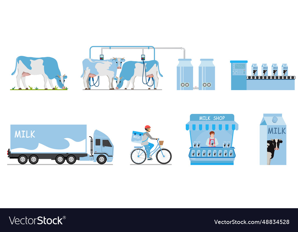 Milk production steps set