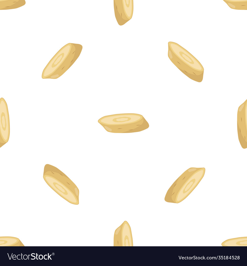 On theme pattern plant parsnip vector image On theme pattern plant parsnip