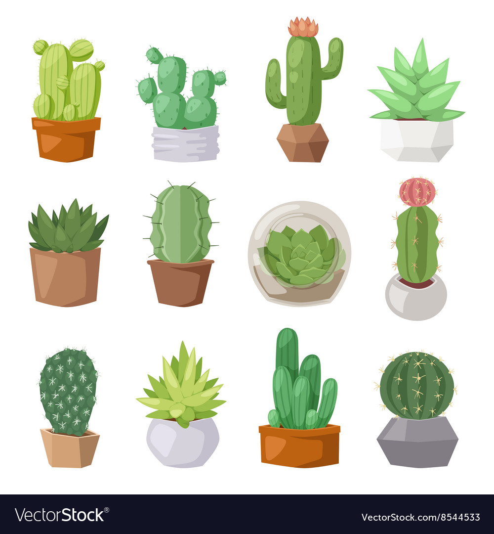 Cute cartoon cactus collection flat nature