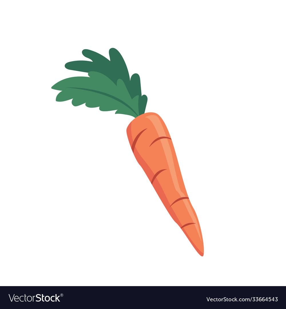 Carrot design flat objects