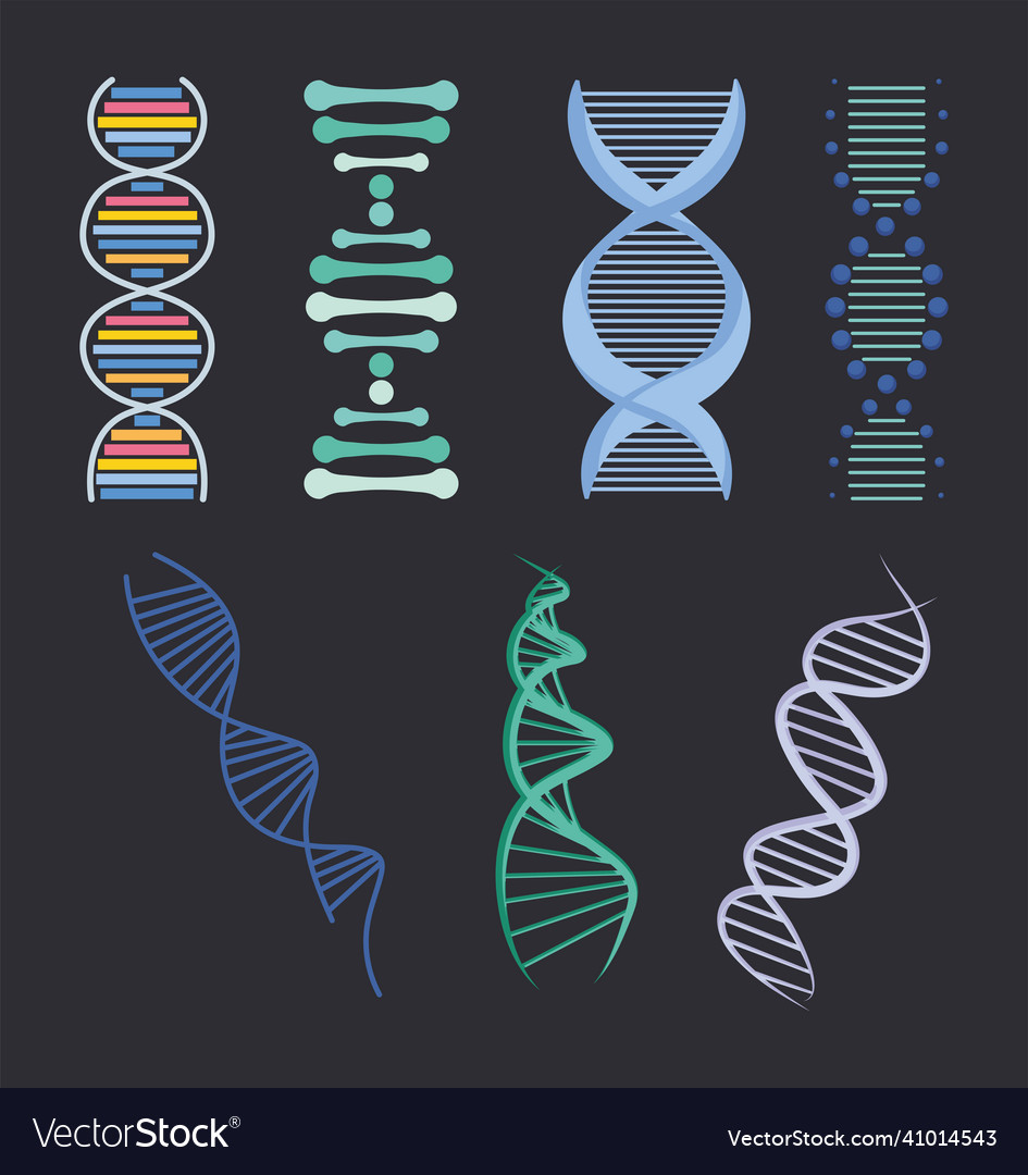 Dna strands icon set Royalty Free Vector Image