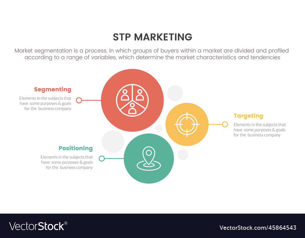 Stp marketing strategy model for segmentation Vector Image