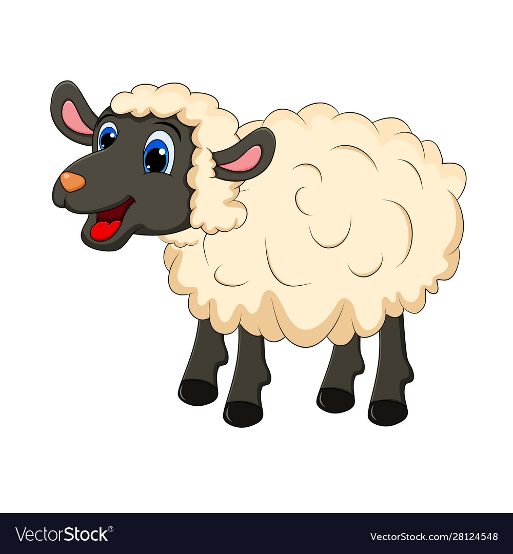 Beautiful cute sheep isolated on white background Vector Image