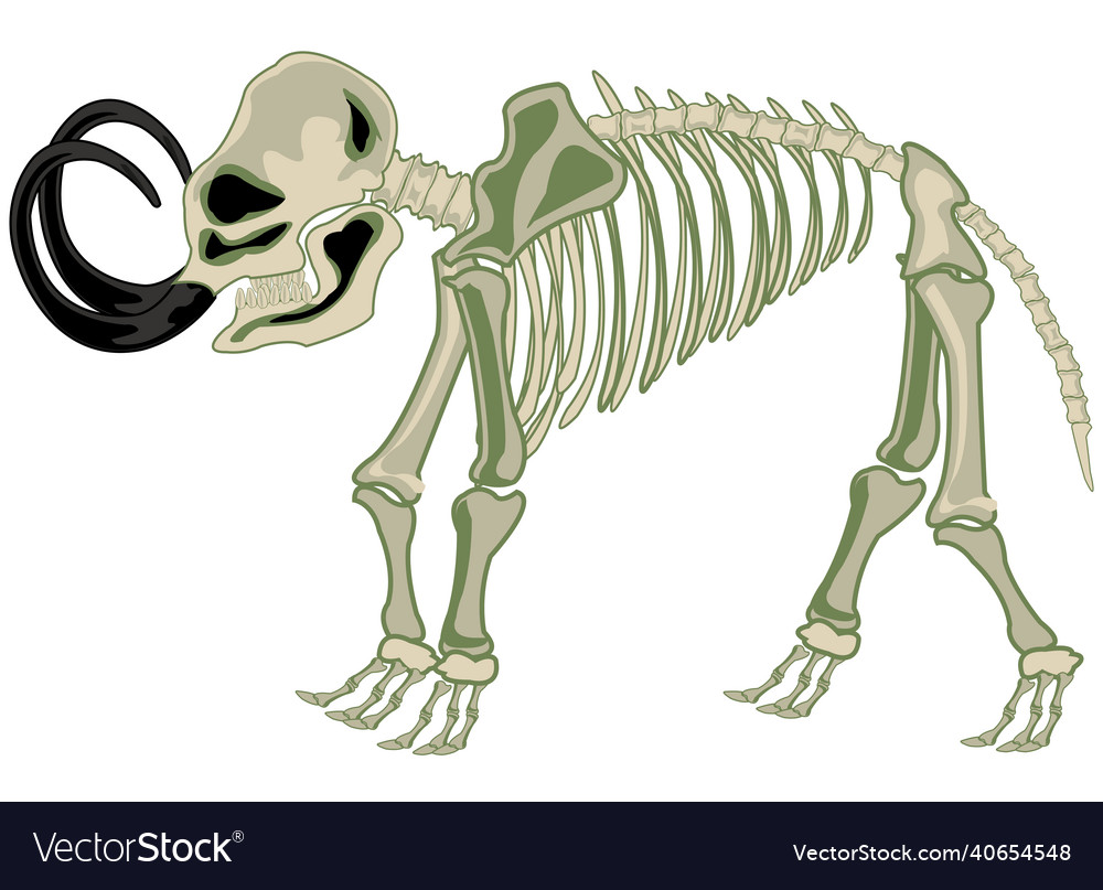 Скелет мамонта рисунок