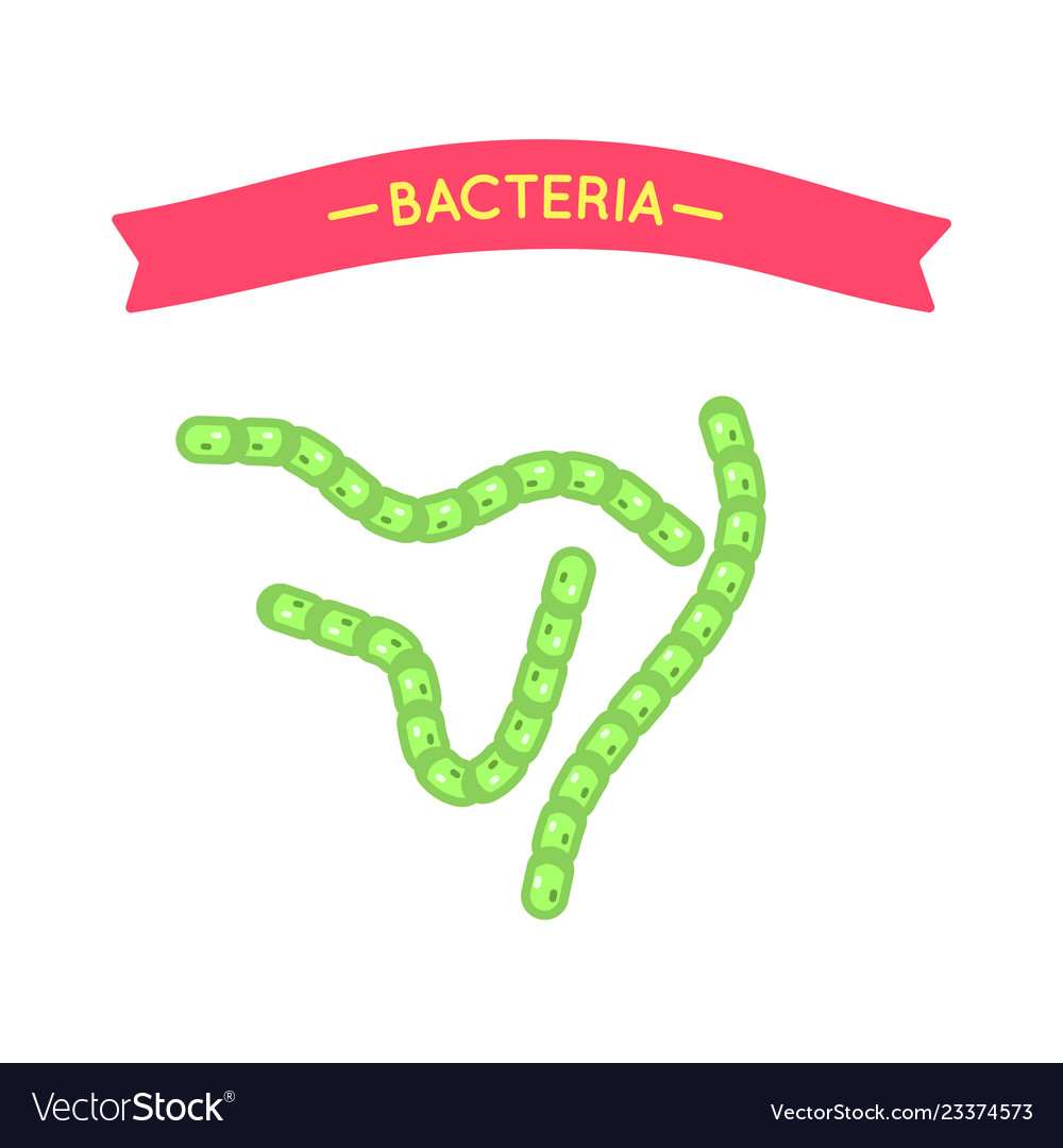 Bacteria virus cell set microorganism icon