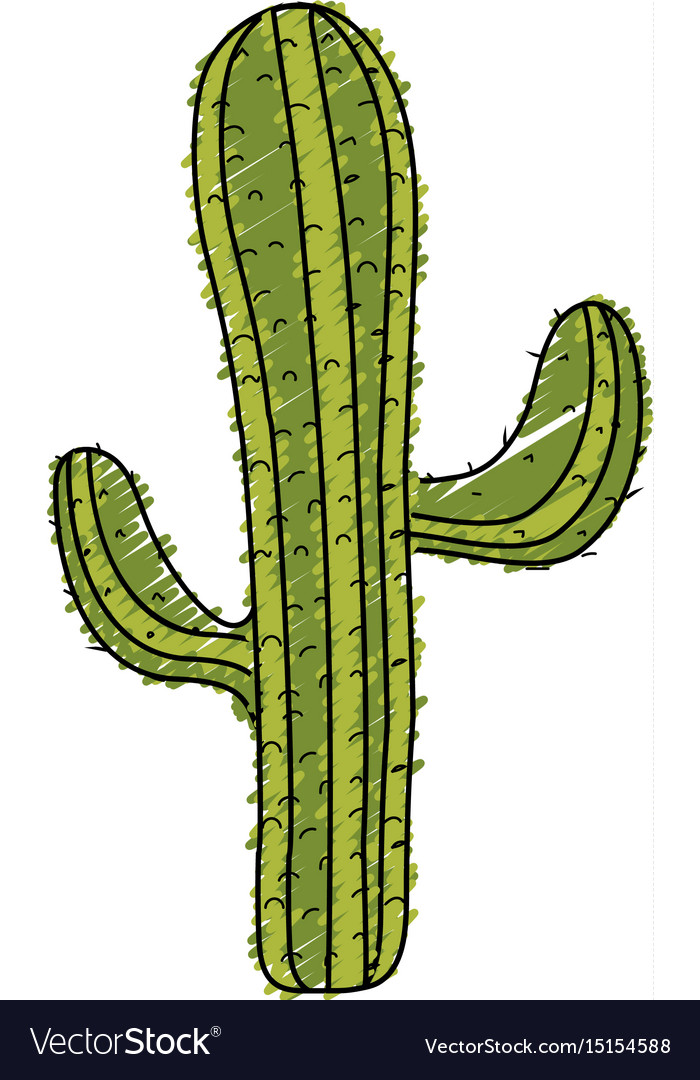 Beautiful cactus plant of desert Royalty Free Vector Image