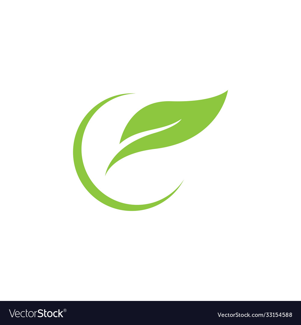 Green leaf Royalty Free Vector Image - VectorStock