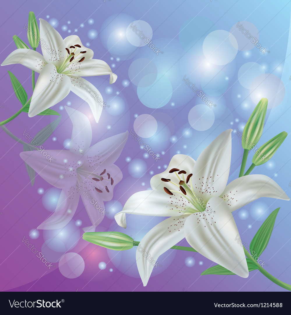 Lily flower background greeting or invitation card