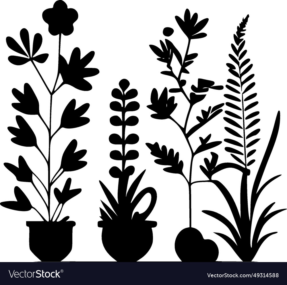 Plants - black and white Royalty Free Vector Image