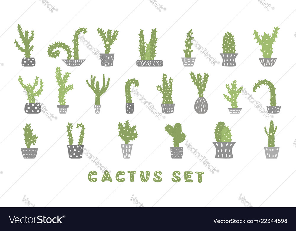 Cactus composition design set