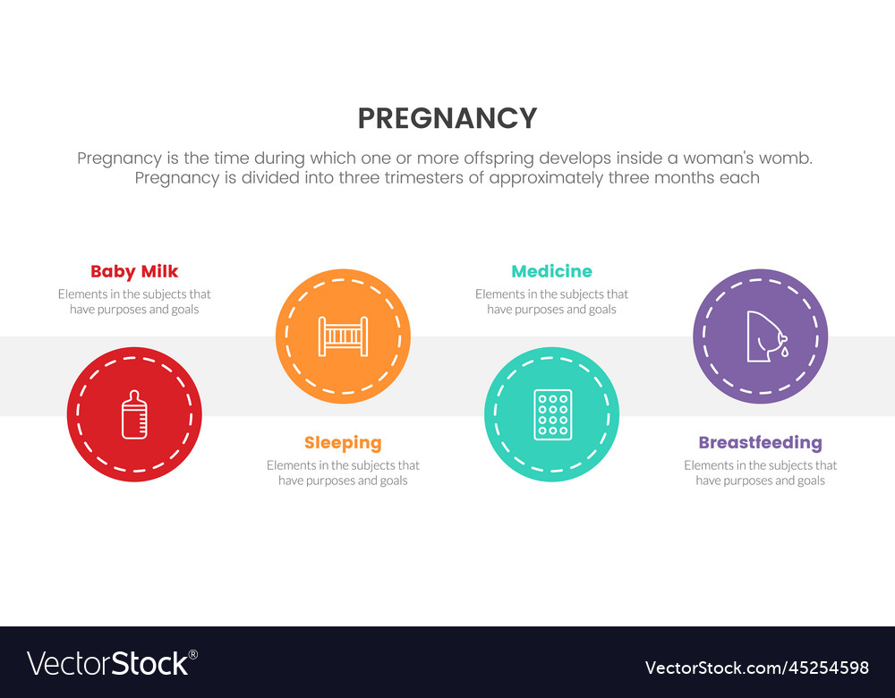 Circle timeline step for pregnant or pregnancy Vector Image
