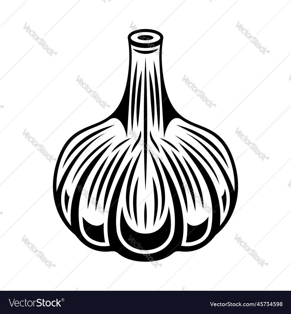 Garlic black monochrome graphic object Royalty Free Vector