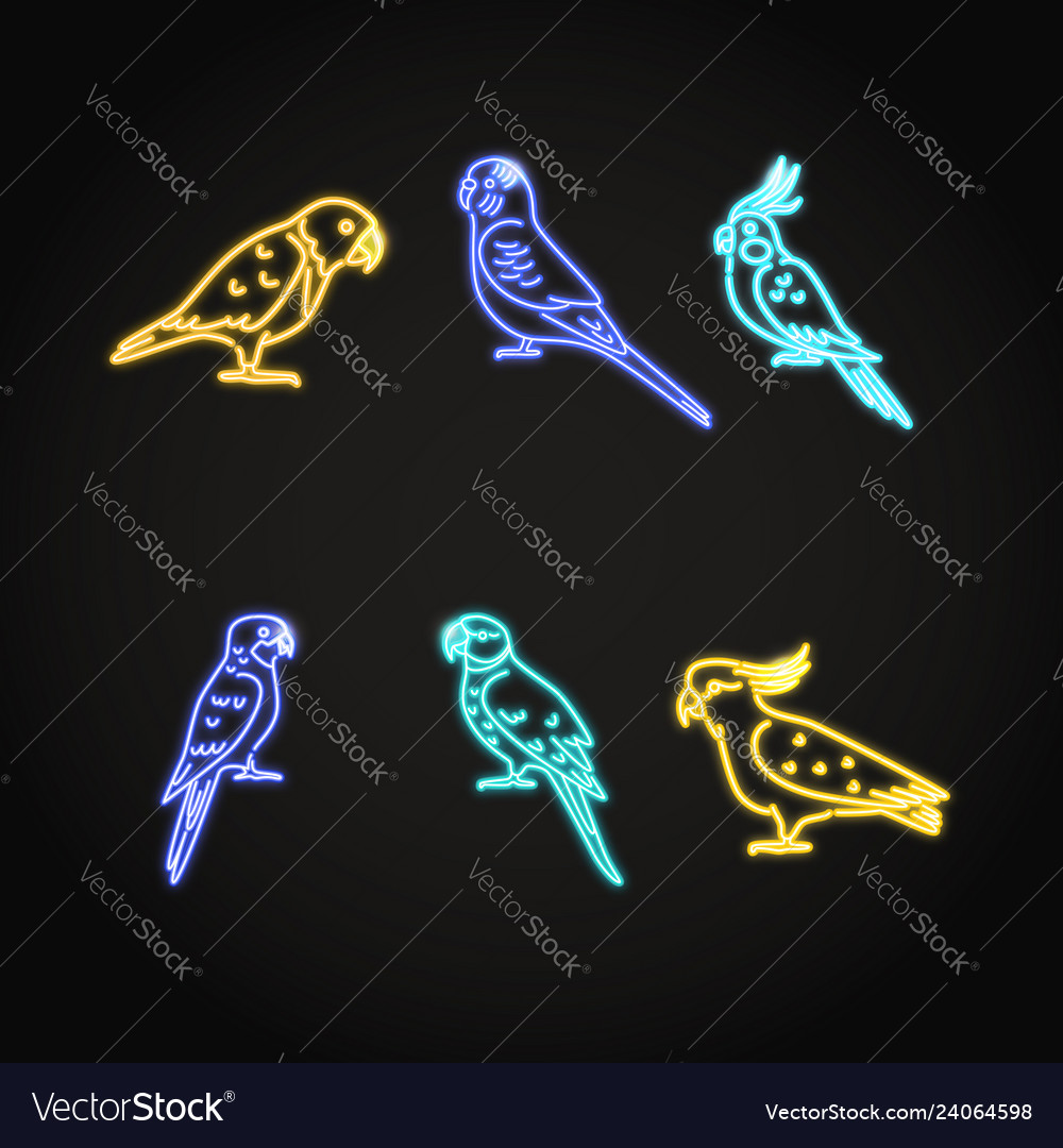 Parrot icons set in glowing neon style