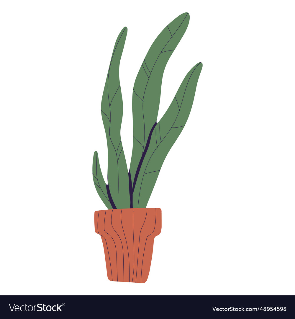 Plant in brown pot