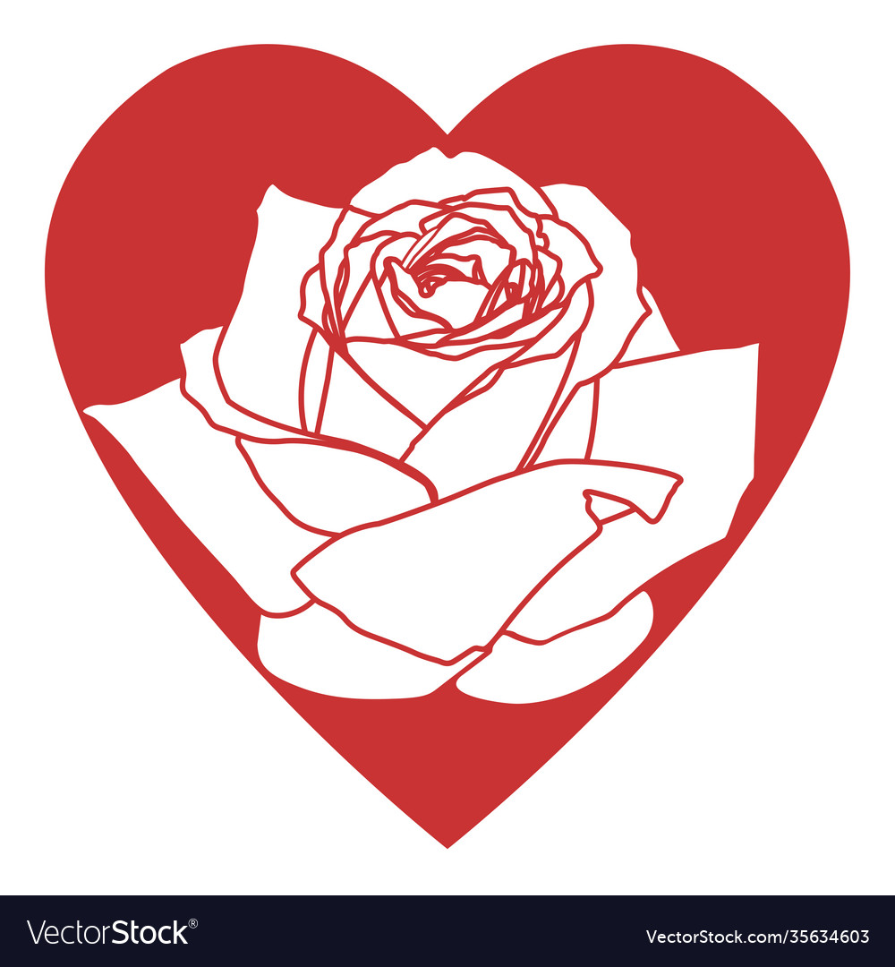 Red heart with rose isolated on white icon Vector Image