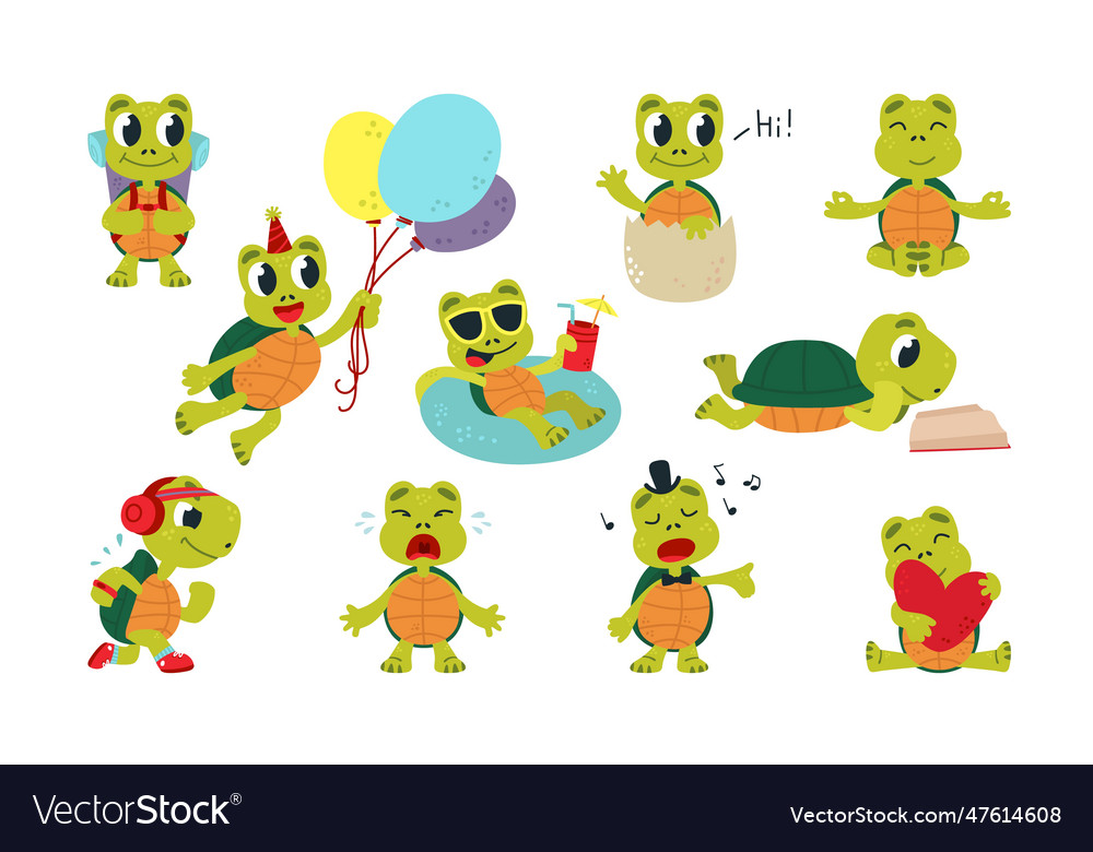 Cartoon cute turtles characters turtle funny Vector Image