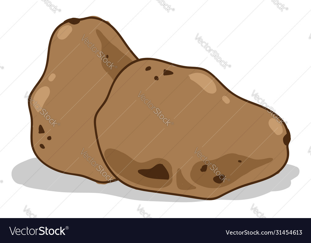 Interesting potato on white background