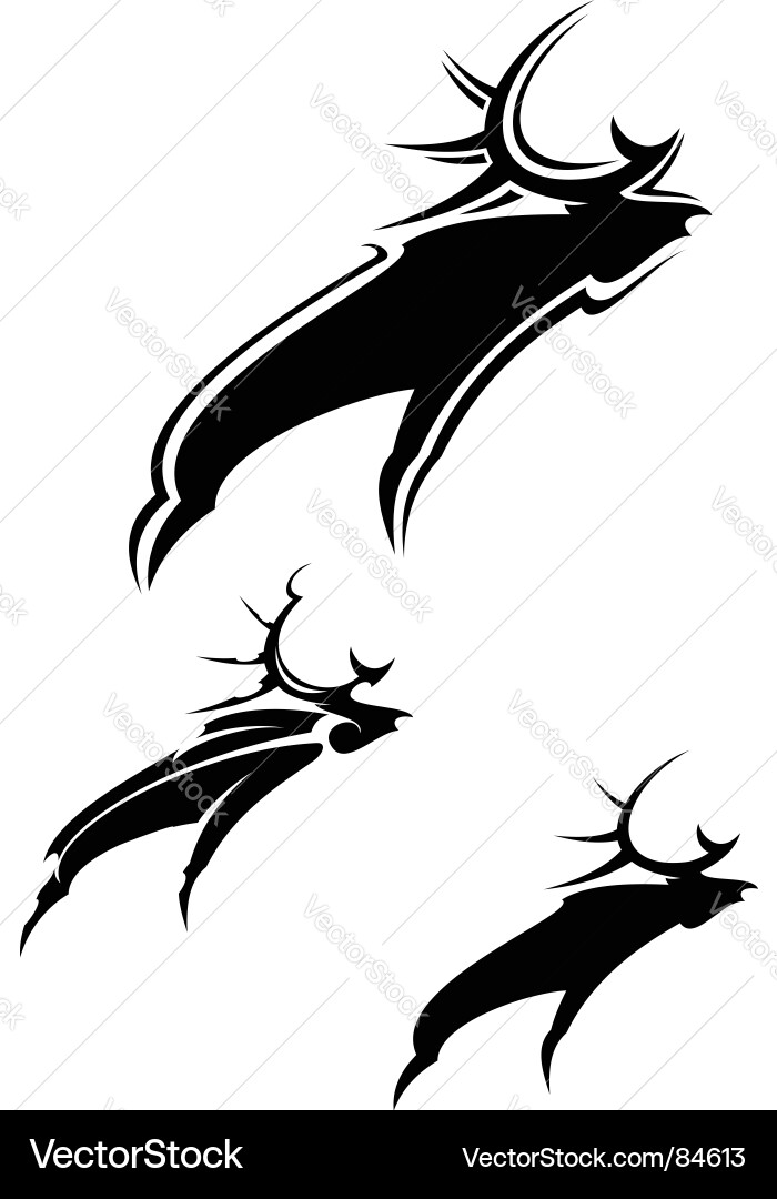 Muscle Moose Vector Moose mascot Royalty Free Vector Image - VectorStock