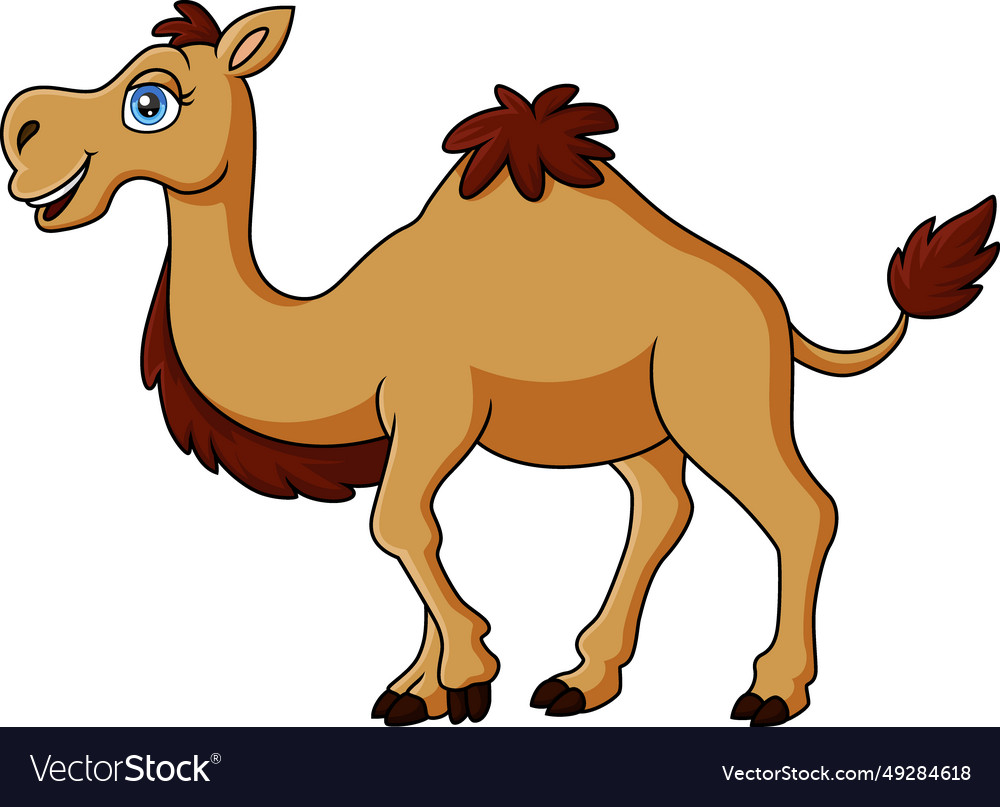 Cute camel cartoon on white background Royalty Free Vector