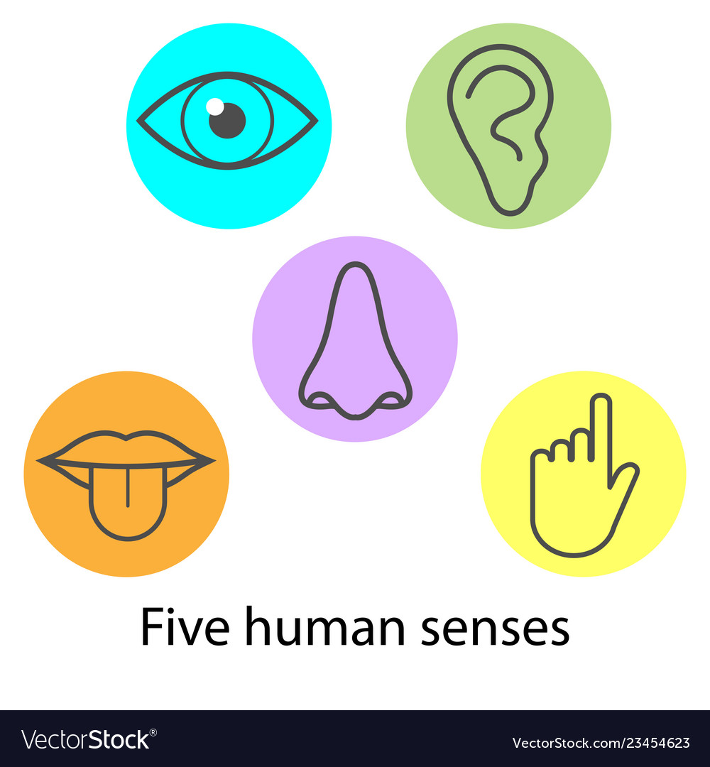 Human senses icon flat Royalty Free Vector Image