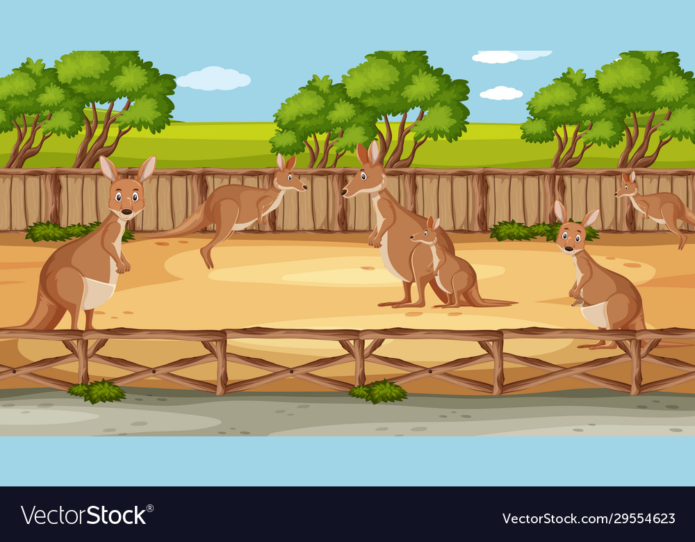 Scene with wild animals in zoo at day time