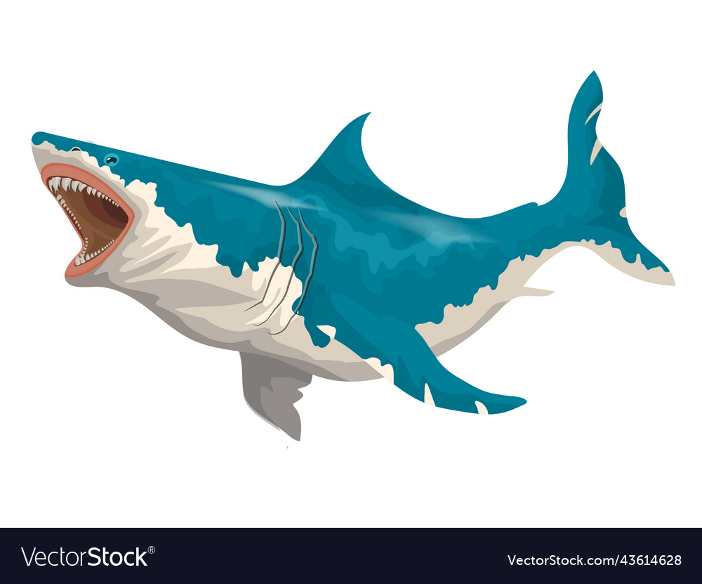 animal-big-old-shark-in-shark-in-motion-vector-43614628.jpg