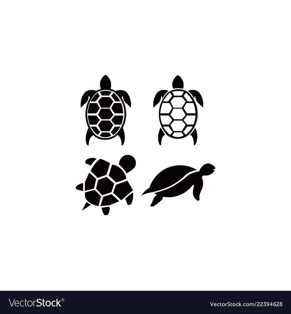 Animal turtle icon filled flat sign solid Vector Image