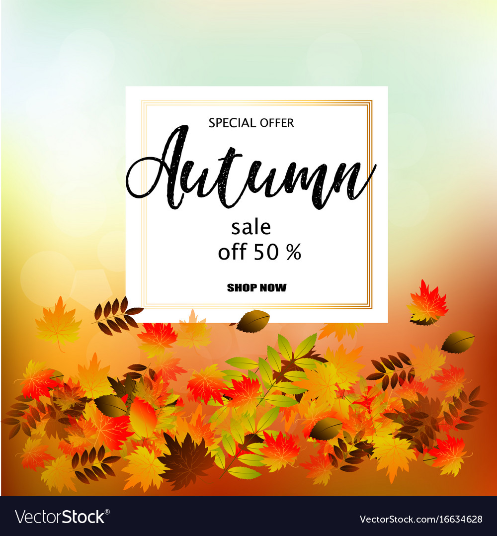 Autumn sale banner with colorful fall leaves