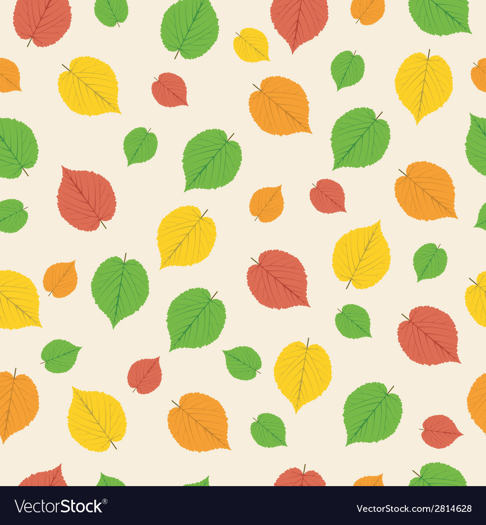 Pattern from autumn leaves