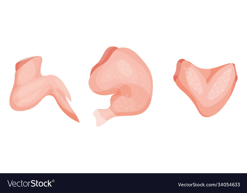 Chicken meat part with wing and leg as farm