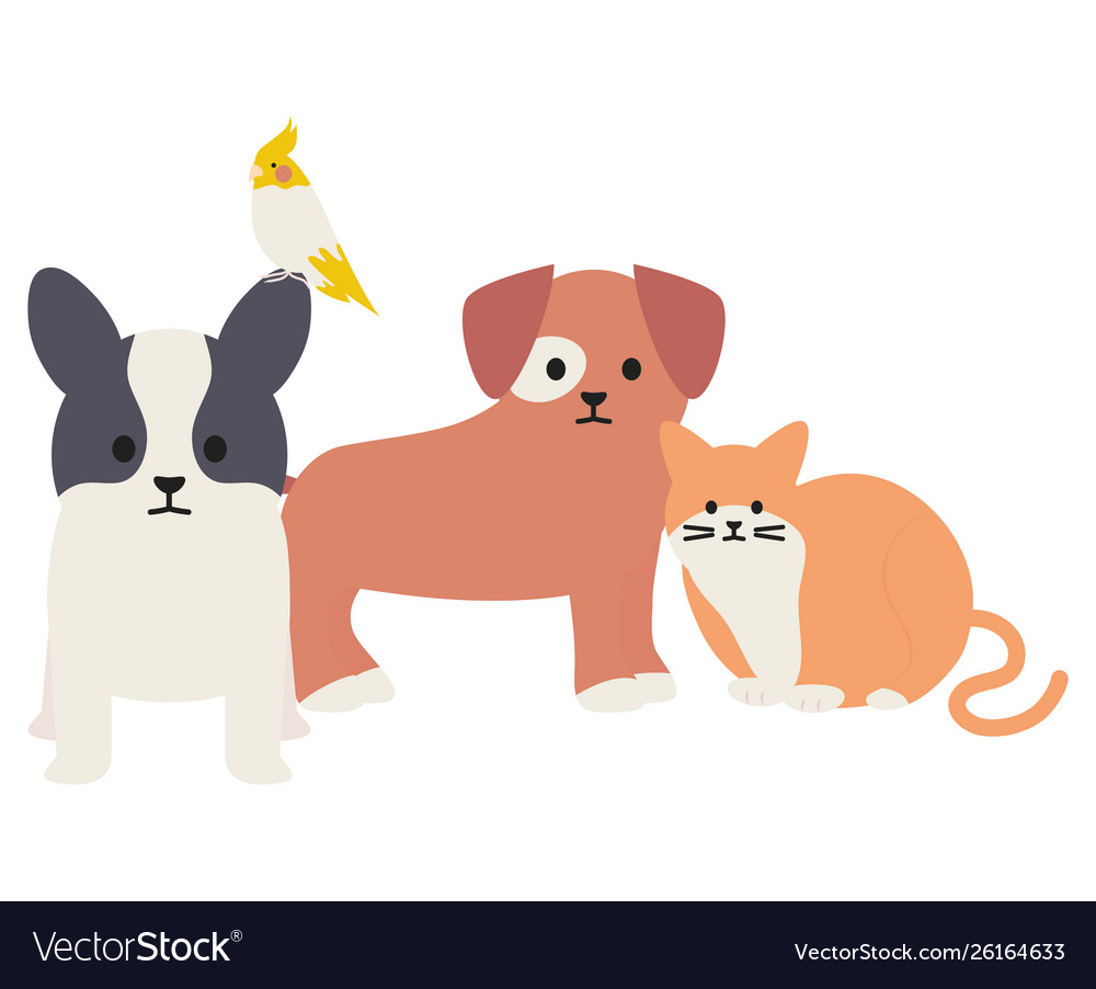 Cute group mascots adorables characters Royalty Free Vector