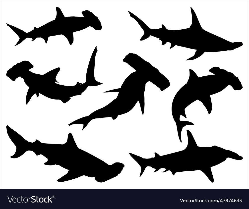 Hammerhead shark silhouette Royalty Free Vector Image