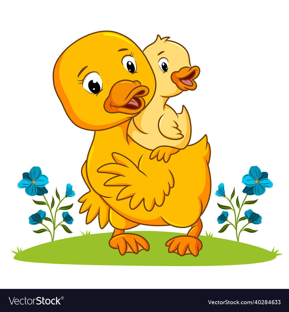 Mother duck is playing with the duck Royalty Free Vector