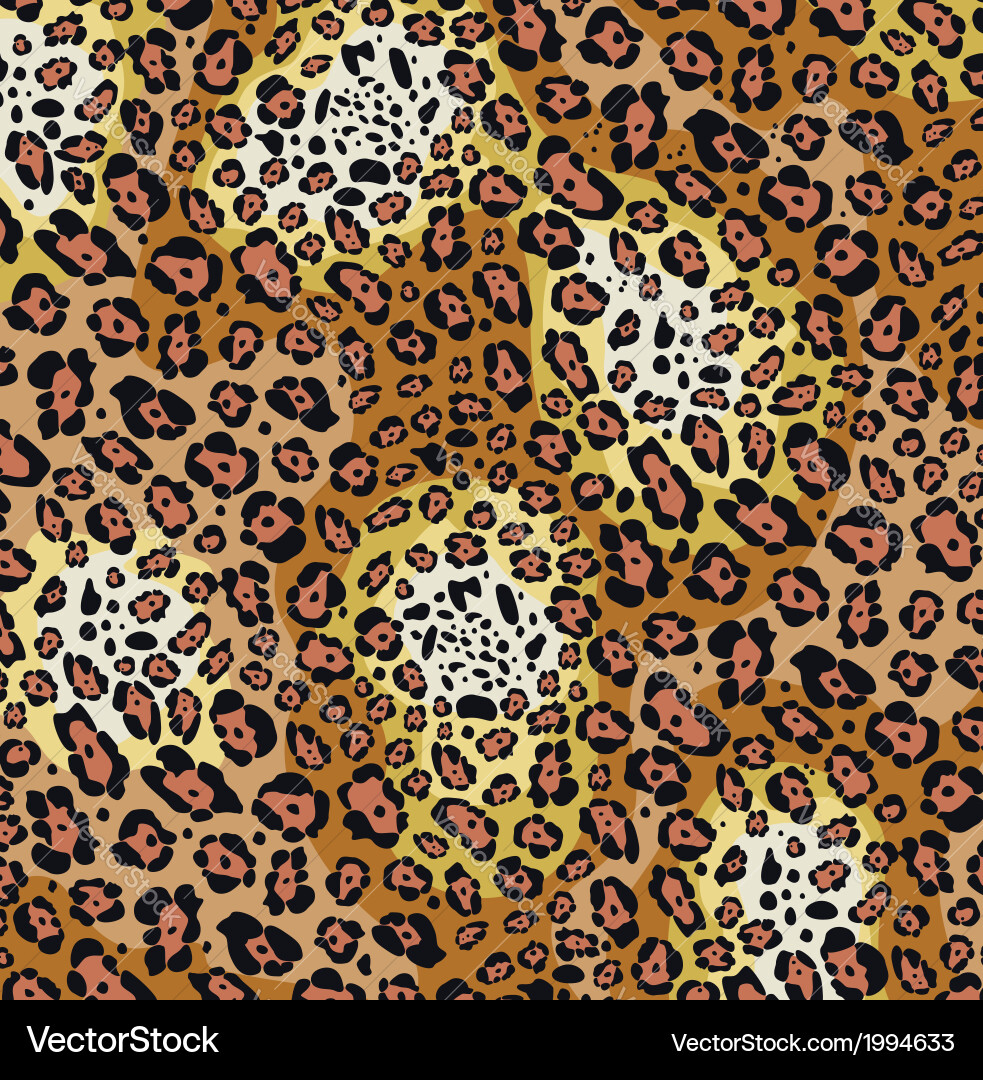 Skin pattern leopard Royalty Free Vector Image