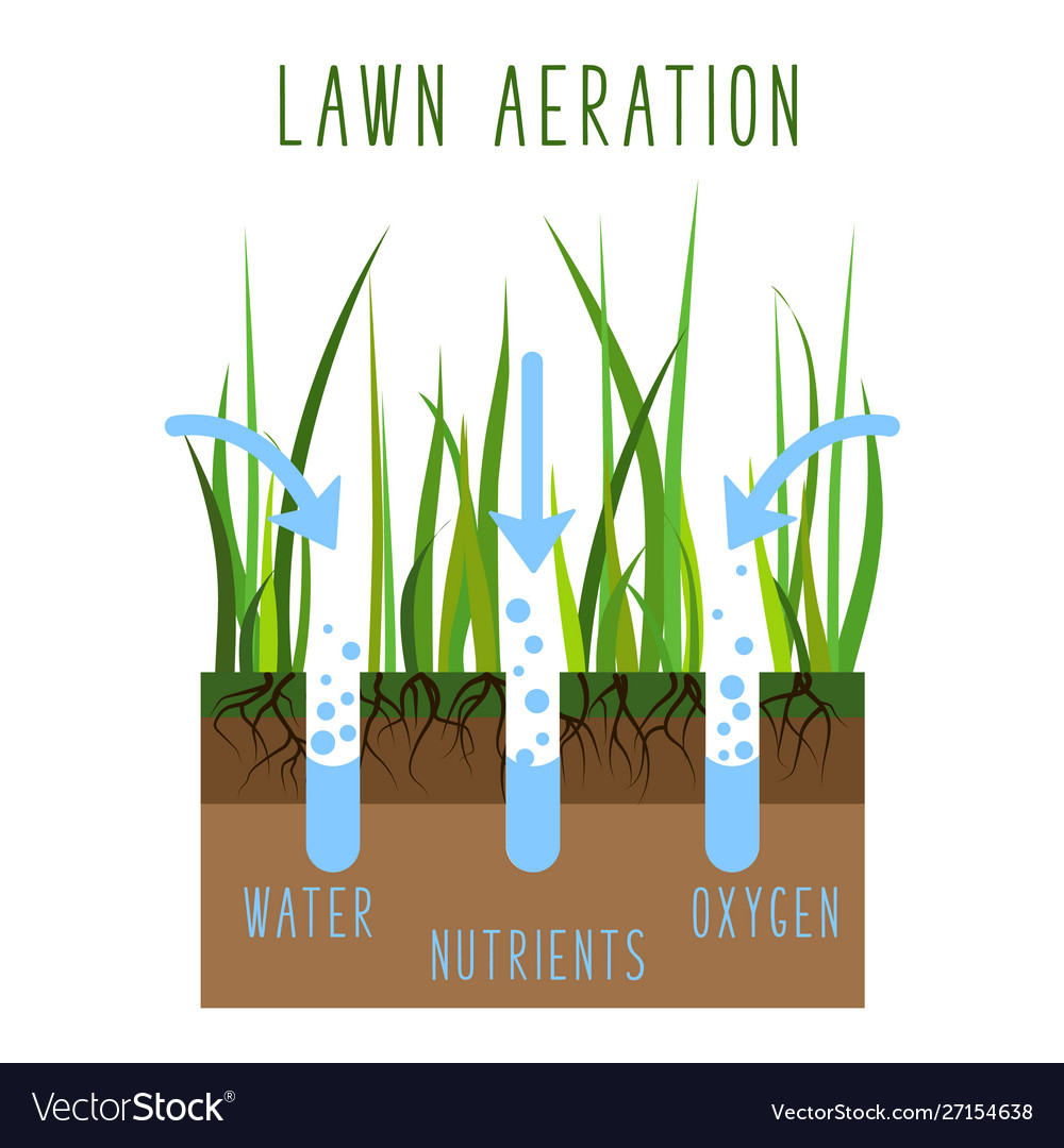 Lawn care Royalty Free Vector Image - VectorStock